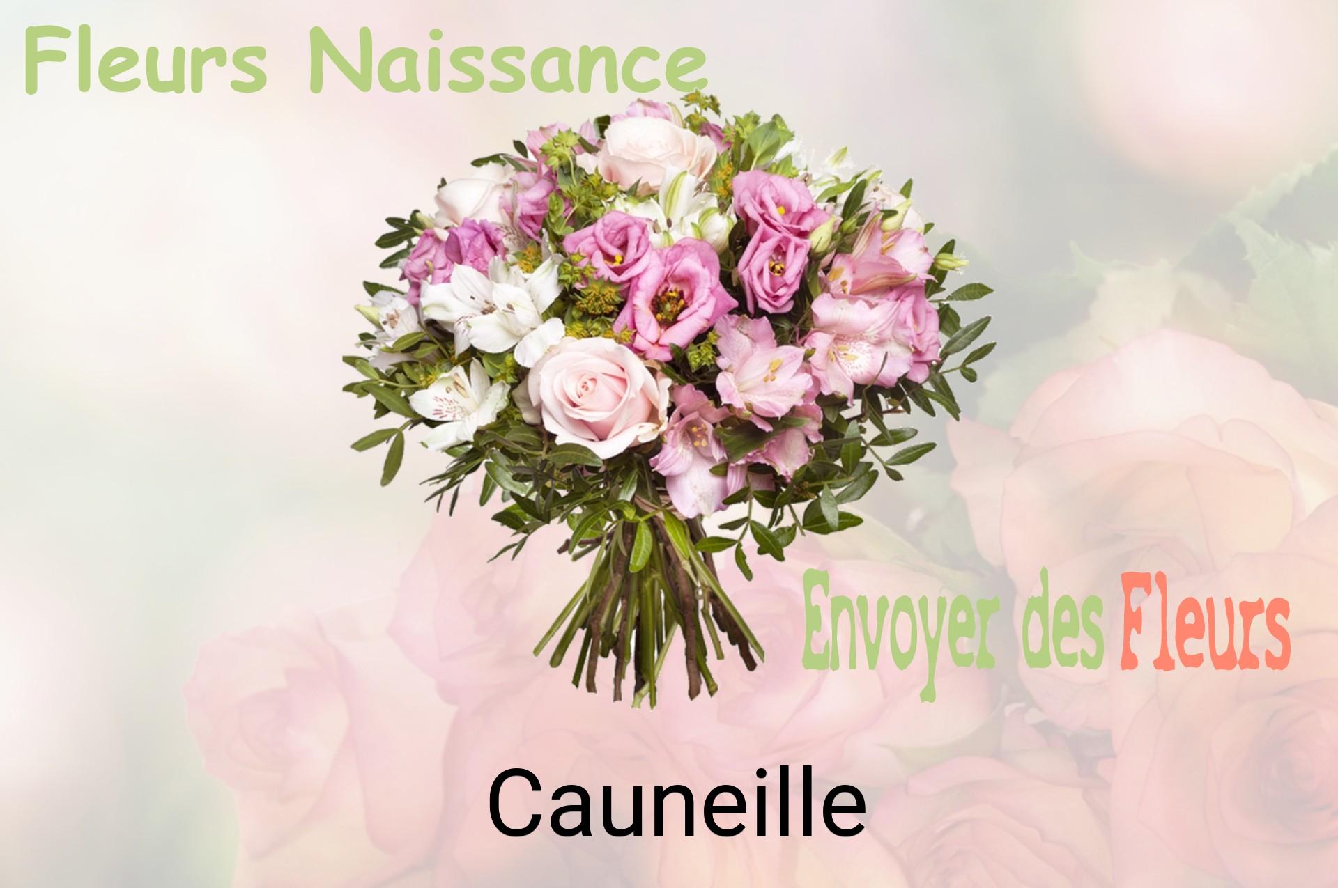 Bouquet de fleurs de naissance livré à Cauneille