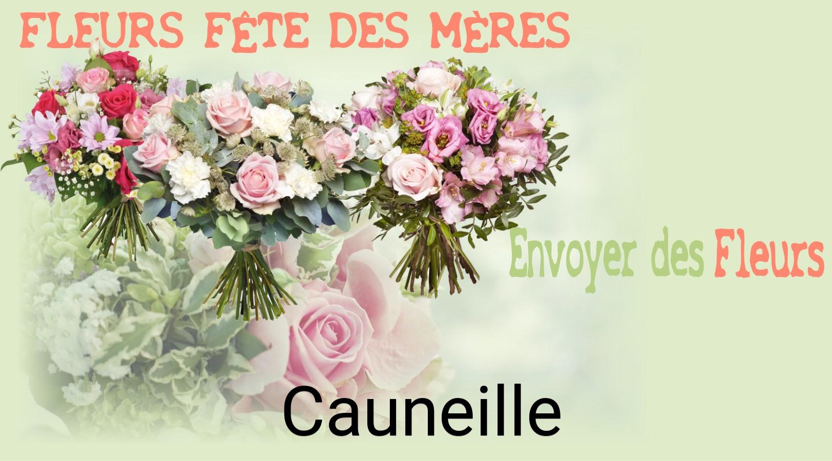 Bouquet de Fête des Mères livré à Cauneille